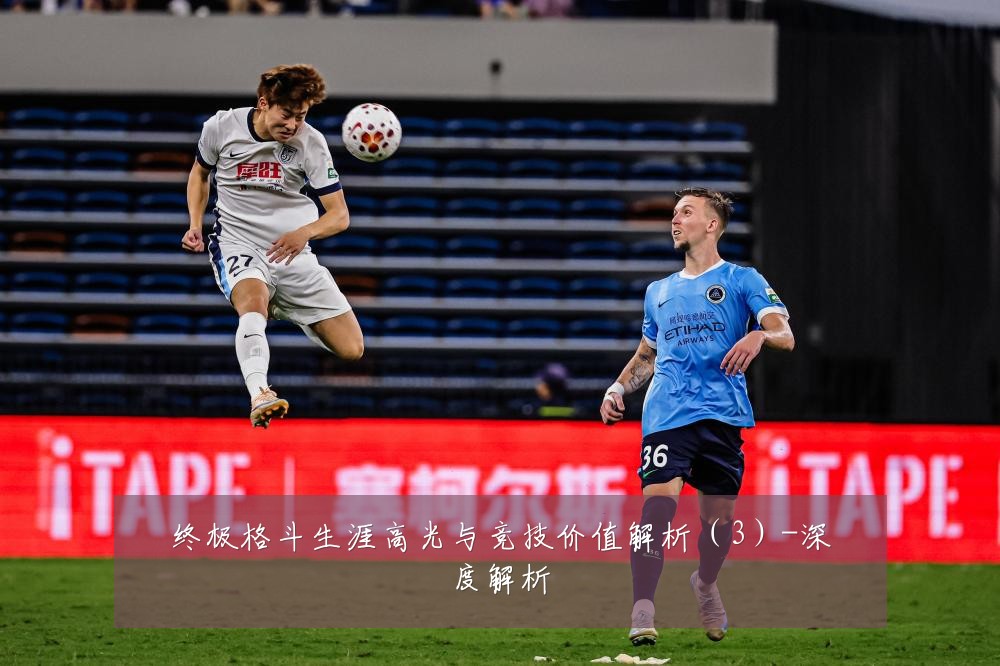 终极格斗生涯高光与竞技价值解析(3)-深度解析